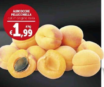 Deco Supermercati Albicocche Pellecchiella offerta
