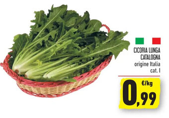 Cicoria Lunga Catalogna