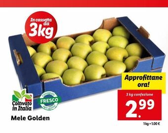 Lidl Mele golden offerta