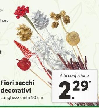 Fiori secchi decorativi