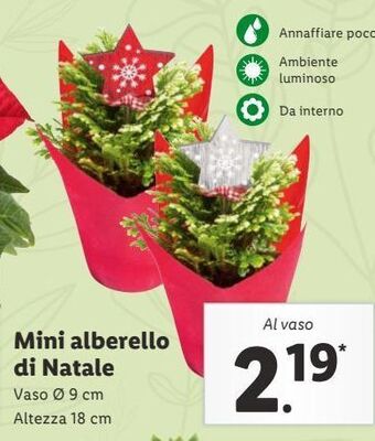Lidl Mini alberello di natale offerta