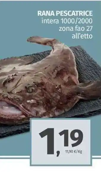 Pam Rana Pescatrice offerta