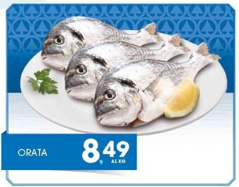 Interspar Orata offerta