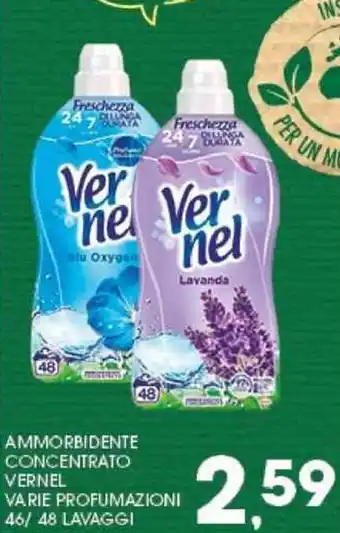 Interspar Vernel Ammobidente Concentrato Varie Profumazioni 46/48 Lavaggi offerta