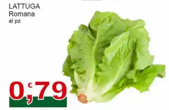 Sidis Lattuga Romana offerta