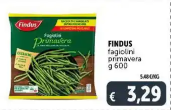 Deco Superstore Findus fagiolini primavera 600 g offerta