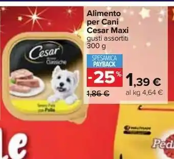 Alimento per cani cesar maxi