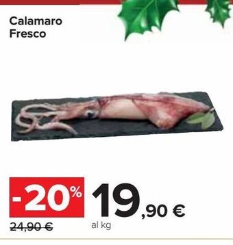 Carrefour Market Calamaro fresco offerta