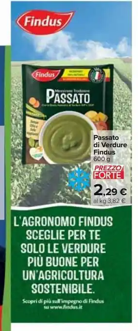 Carrefour Market Passato di verdure findus 600 g offerta