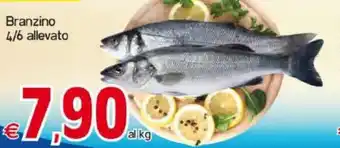 Kanguro Branzino 4/6 allevato offerta
