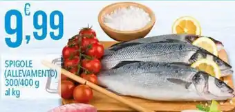Spigole (Allevamento) 300/400 g