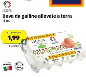 ALDI Uova da galline allevate a terra 15pz offerta