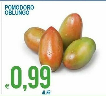 MD Discount Pomodoro Oblungo offerta