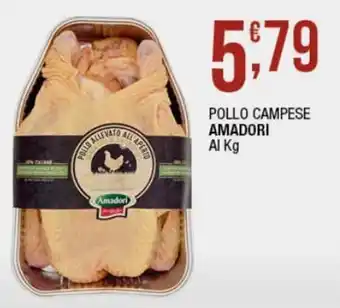 Amadori Pollo Campese