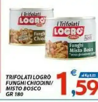 Logro Funghi sott olio