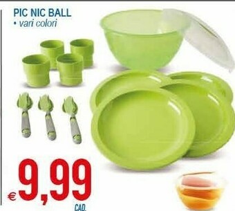 Pic Nic Ball