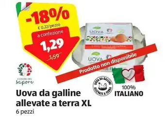 ALDI Uova da galline allevate a terra xl offerta