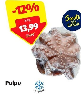 ALDI Polpo offerta