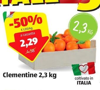 ALDI Clementine offerta