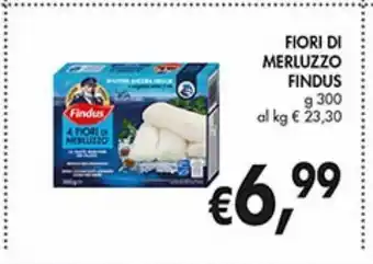Supermercato Coal Filetti di merluzzo findus g 300 offerta