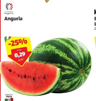 ALDI Anguria offerta