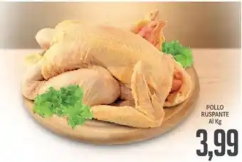 Supermercati Piccolo Pollo Ruspante offerta