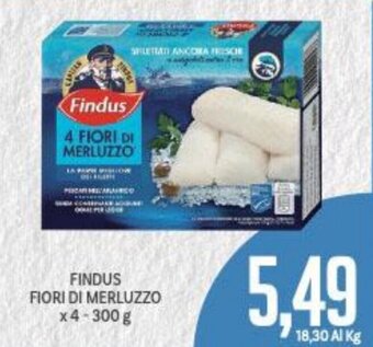 Supermercati Piccolo Findus Fiori di Merluzzo x 4 300 g offerta