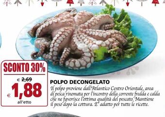 Il Gigante Polpo decongelato offerta