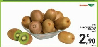 Conad Melone offerta
