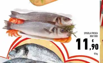 Conad Spigola fresca 800/1000 offerta