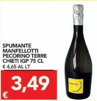 TuoDi Spumante Manfellotti Pecorino Terre Chieti IGP 75 cl offerta