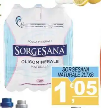 Magazzini del Risparmio Sorgesana Naturale 2lt x 6 offerta