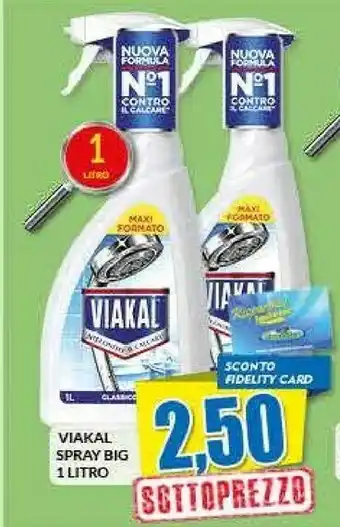 Risparmio Casa Viakal Spary Big offerta