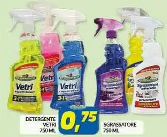 Risparmio Casa Detergente Vetri/ Sgrassatore offerta