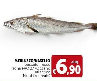 Deco Supermercati Merluzzo/ Nasello Pescato Fresco offerta