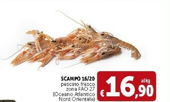 Deco Supermercati Scampo 16/20 Pescato Fresco offerta