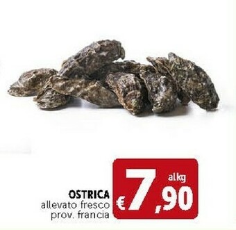 Deco Supermercati Ostrica Allevato Fresco offerta