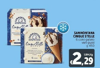 Deco Supermercati Sammontana Cinque Stelle Panna 6 Coni 450 G(ml) offerta