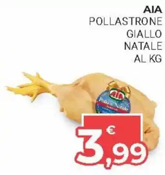 Eté Aia Pollastrone Giallo Natale al kg offerta