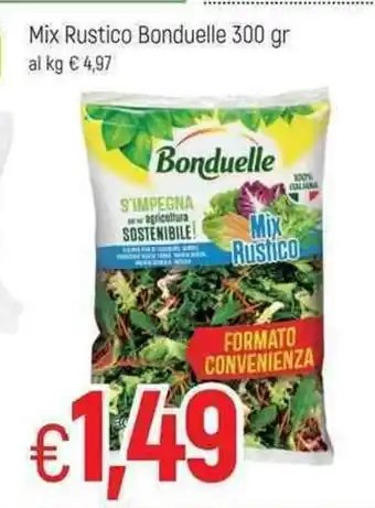 Famila Bonduelle Mix Rustico 300gr offerta