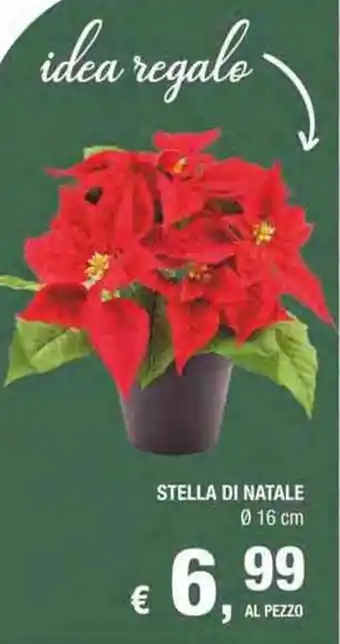 Crai Stella di Natale Ø 16 cm offerta
