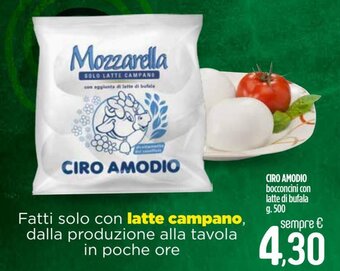 Ciro Amodio Ciro Amodio bocconcini con latte di bufala 500 g offerta