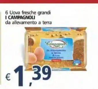 Alter Discount 6 Uova fresche grandi 1 Campagnoli da allevamento a terra offerta