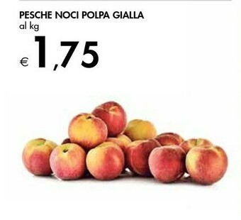 Bennet Pesche offerta