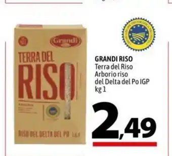 A&O Grandi Riso Terra del Riso Arborio riso del Delta del Po IGP 1 kg offerta