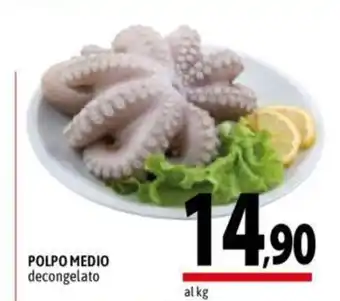 A&O Polpo Medio decongelato offerta