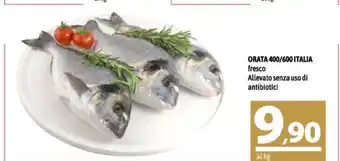 A&O Orata 400/600/Italia fresco Allevato senza uso di antibiotici offerta