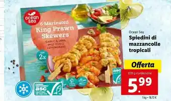 Lidl Ocean Spiedini offerta