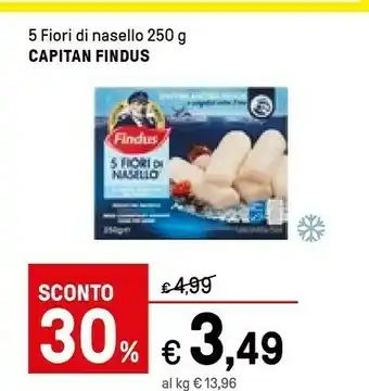 Iper La Grande Pesce surgelato offerta