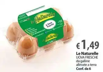 Extra Supermercati Le Naturelle Uova Fresche da galline allevate a terra offerta